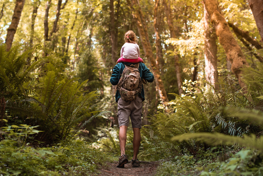 A man captured from back holding a toddler on top of his shoulders in the forest.